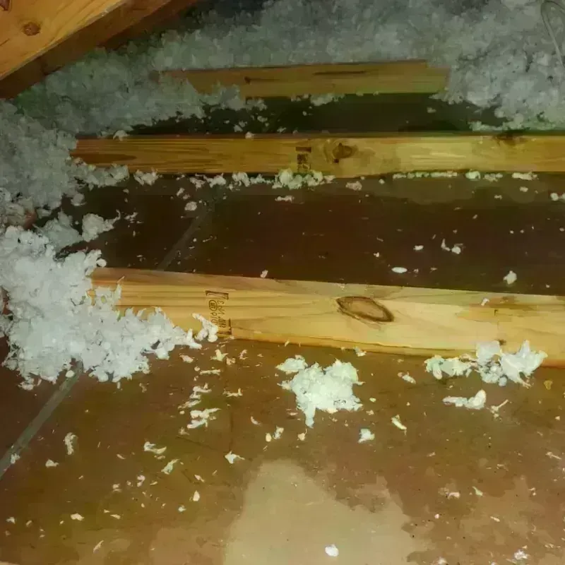 Attic Water Damage in Buchanan County, VA